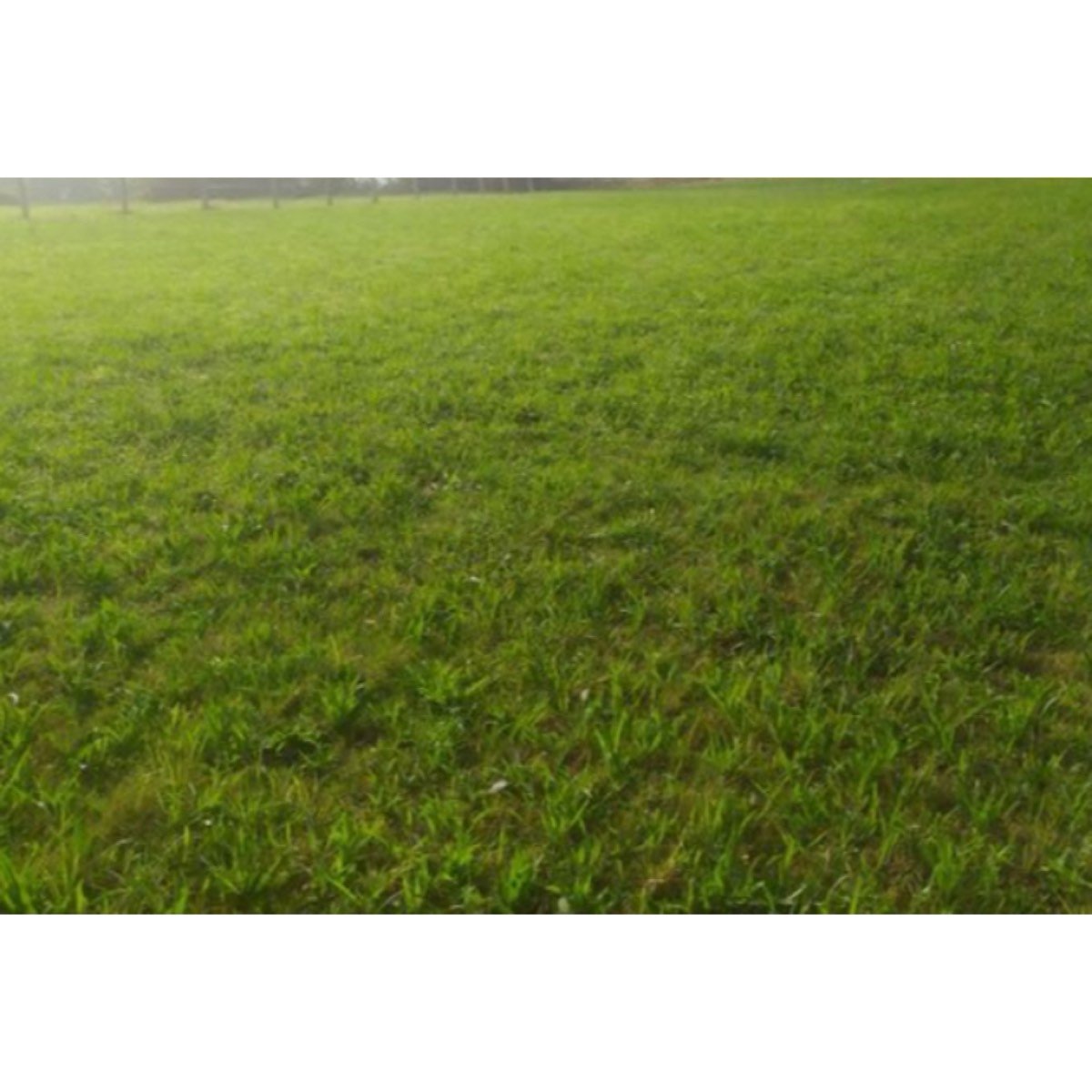 SE VENDE TERRENO NO EDIFICABLE
