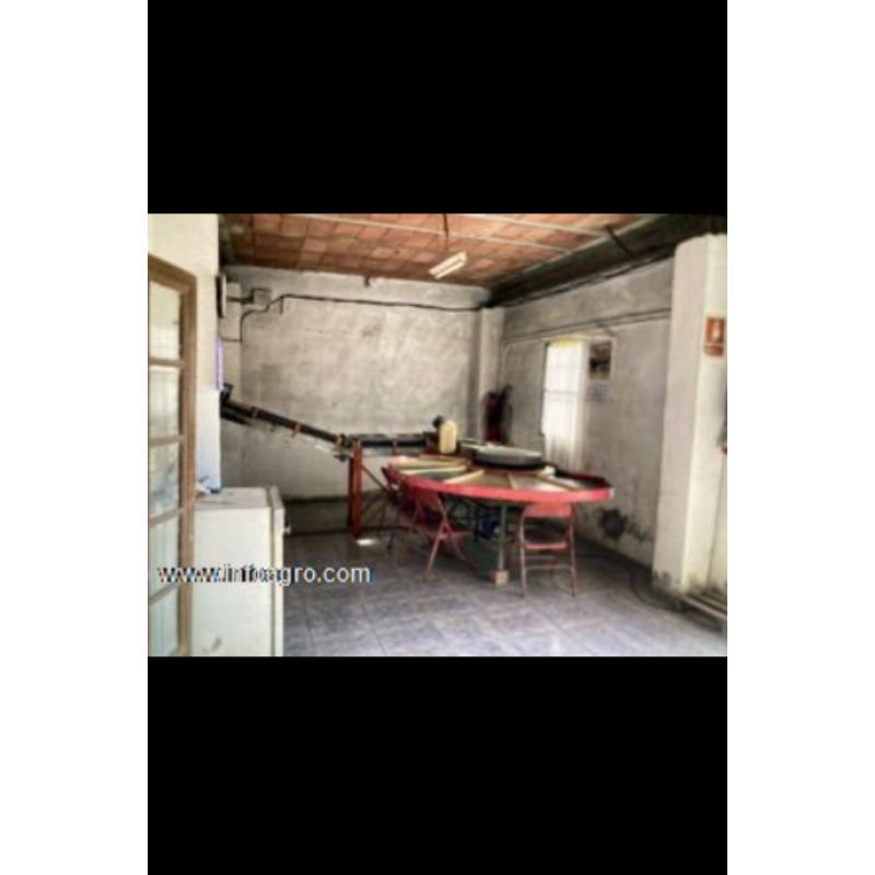 Se vende 20.000m2 granja de gallinas ponedoras
