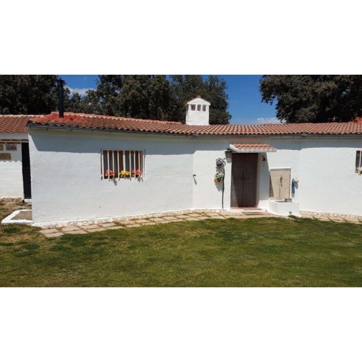 Se vende preciosa dehesa de encinas con golf