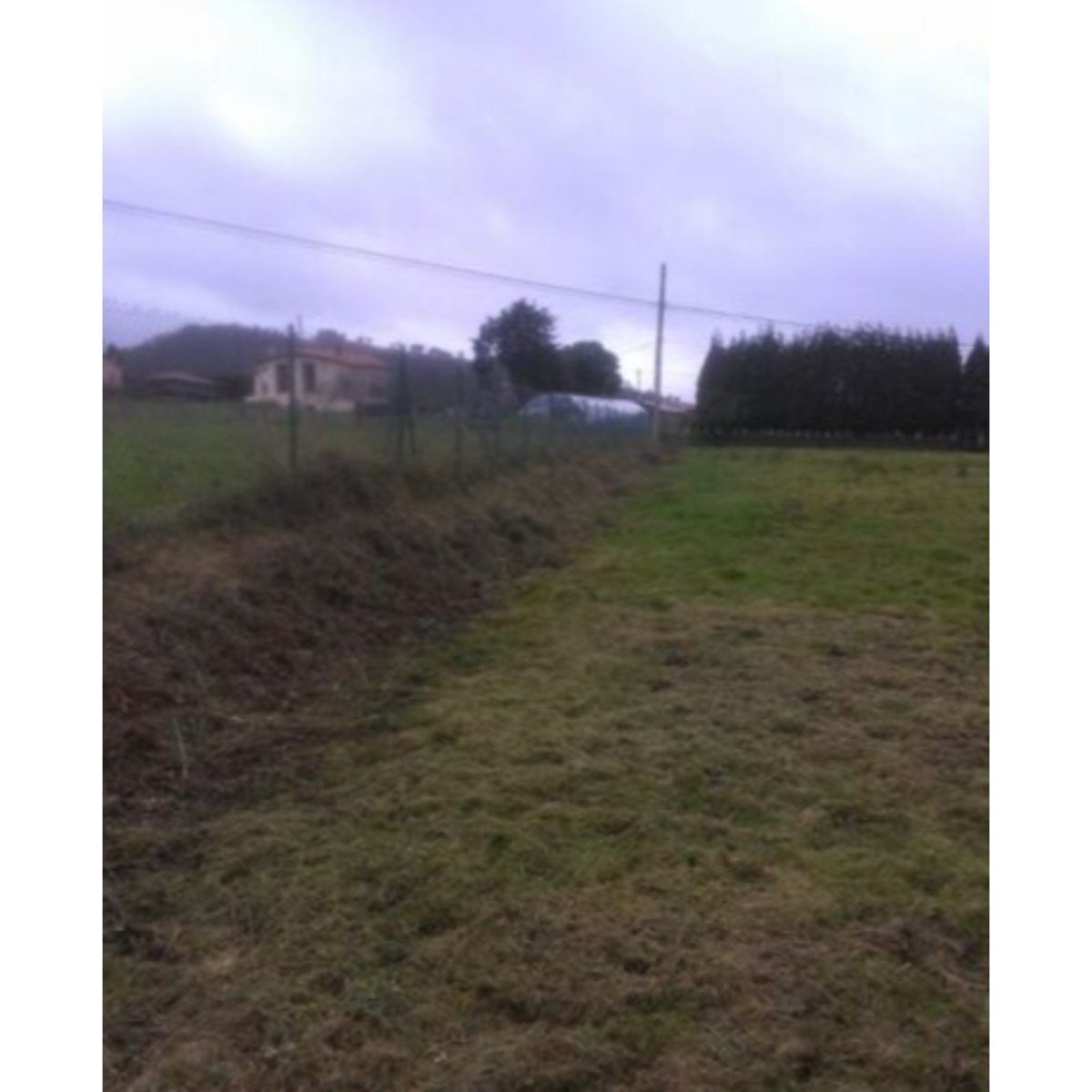 SE VENDE FINCA EN ALBUERNE-CUDILLERO