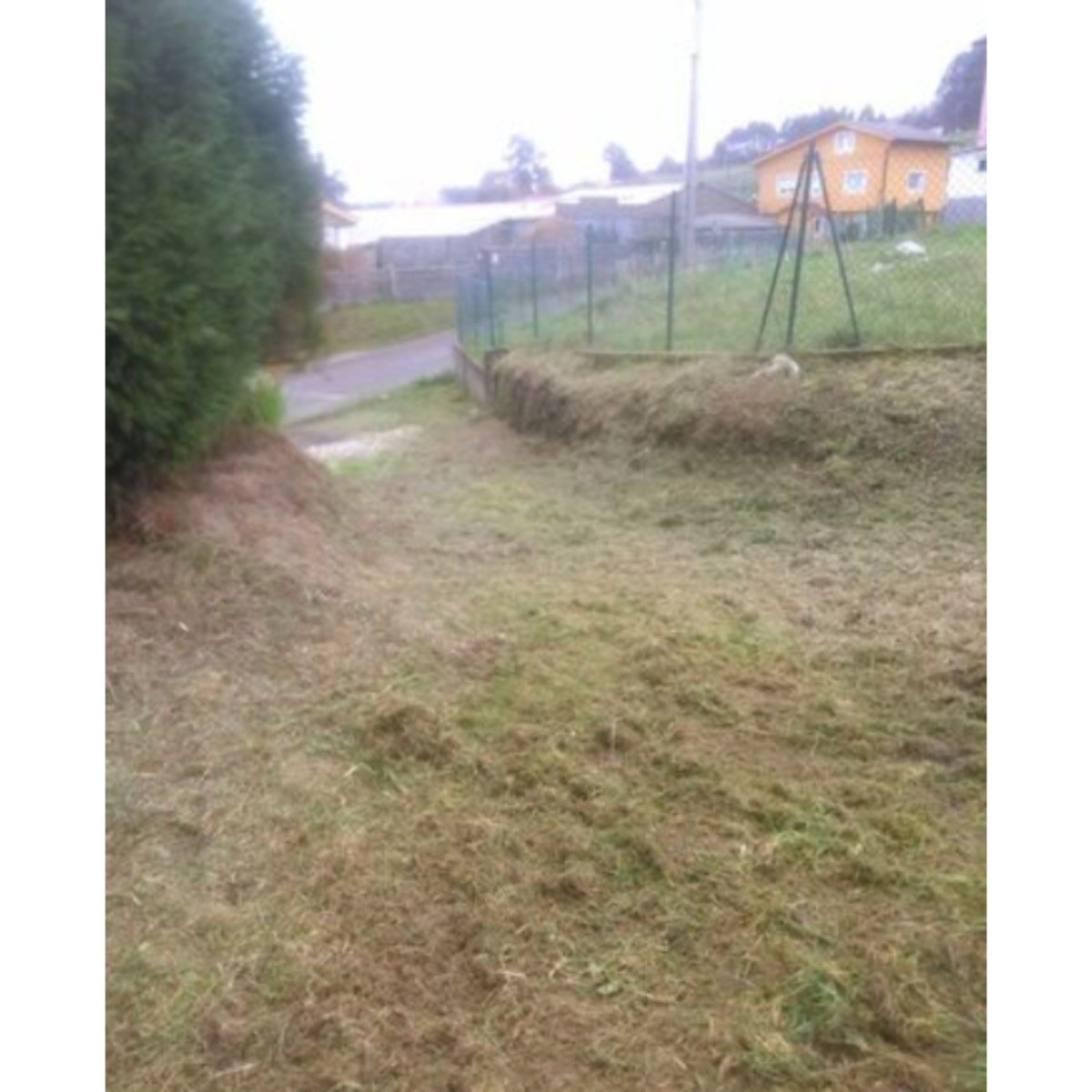SE VENDE FINCA EN ALBUERNE-CUDILLERO