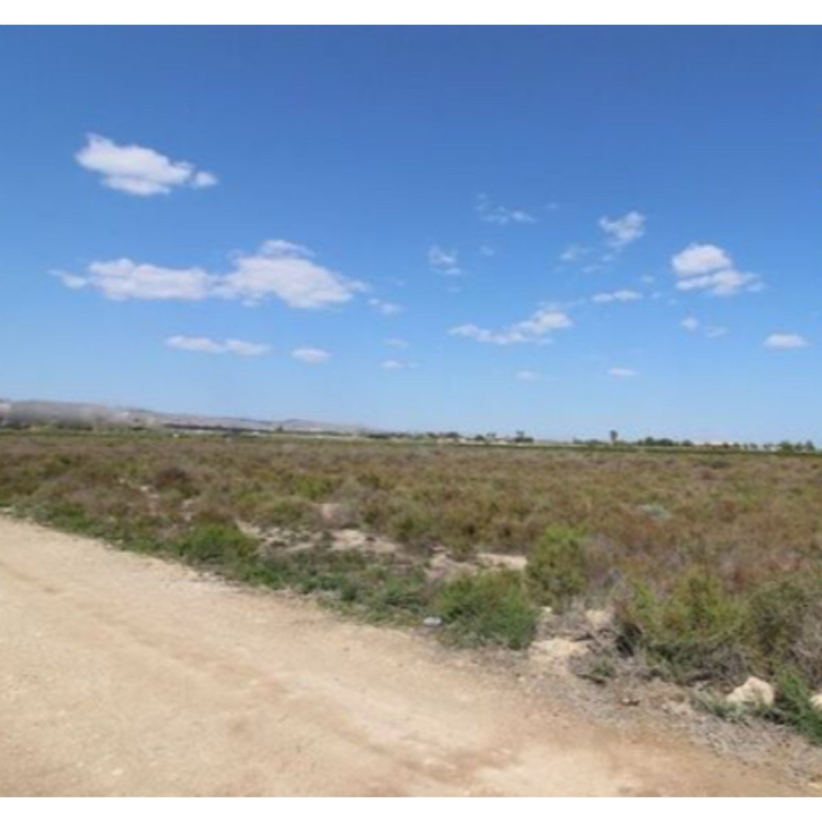 SE VENDE FINCA DE CULTIVO