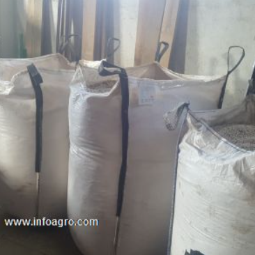 Se vende alubias blancas arrocinas