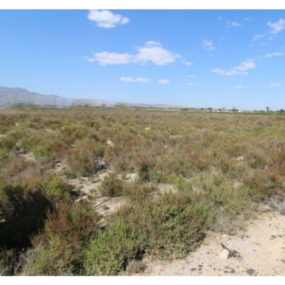 SE VENDE FINCA DE CULTIVO