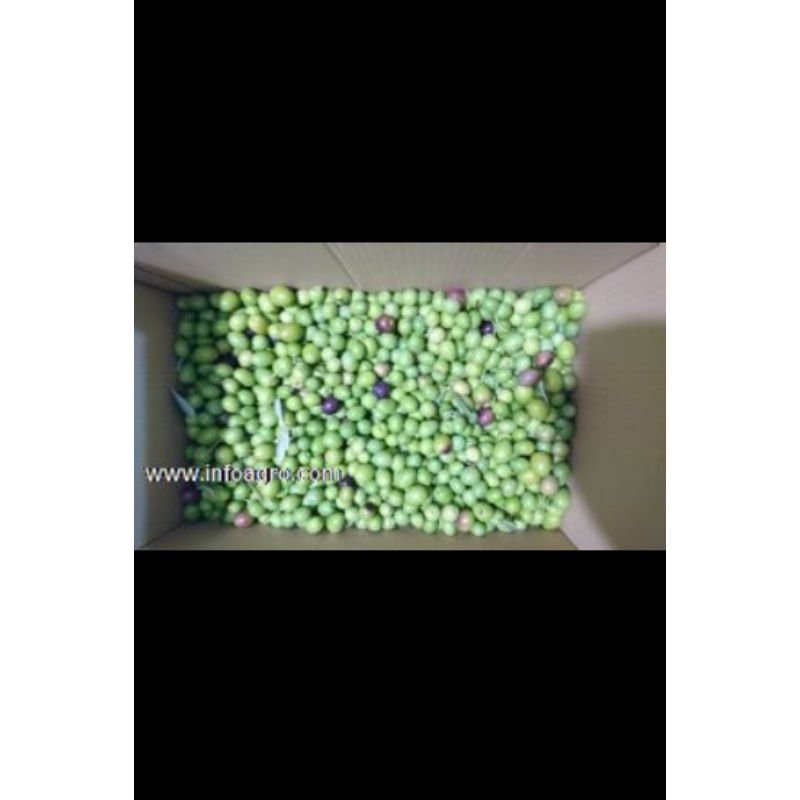 Se venden aceitunas para aliñar. Verdes, pintonas