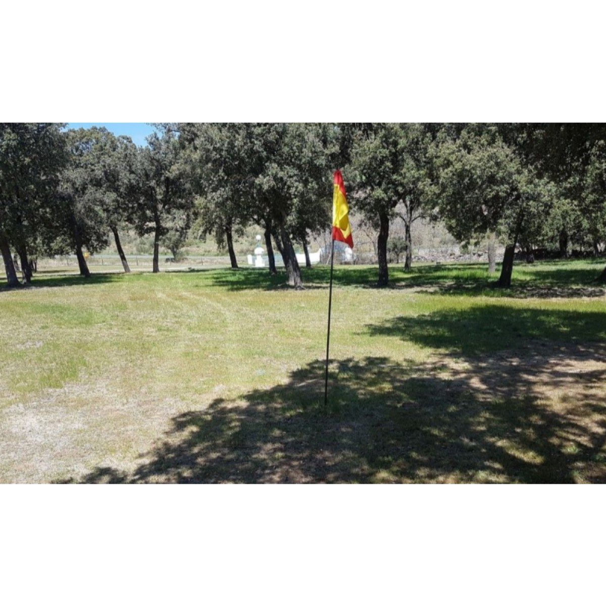 Se vende preciosa dehesa de encinas con golf