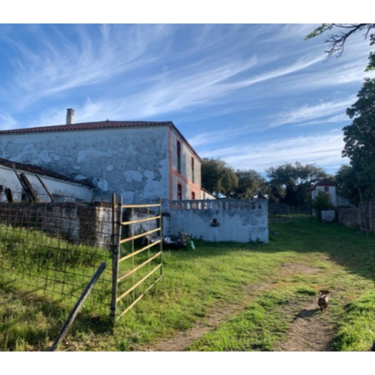 SE VENDE FINCA EXTREMADURA VALENCIA DE ALCANTARA