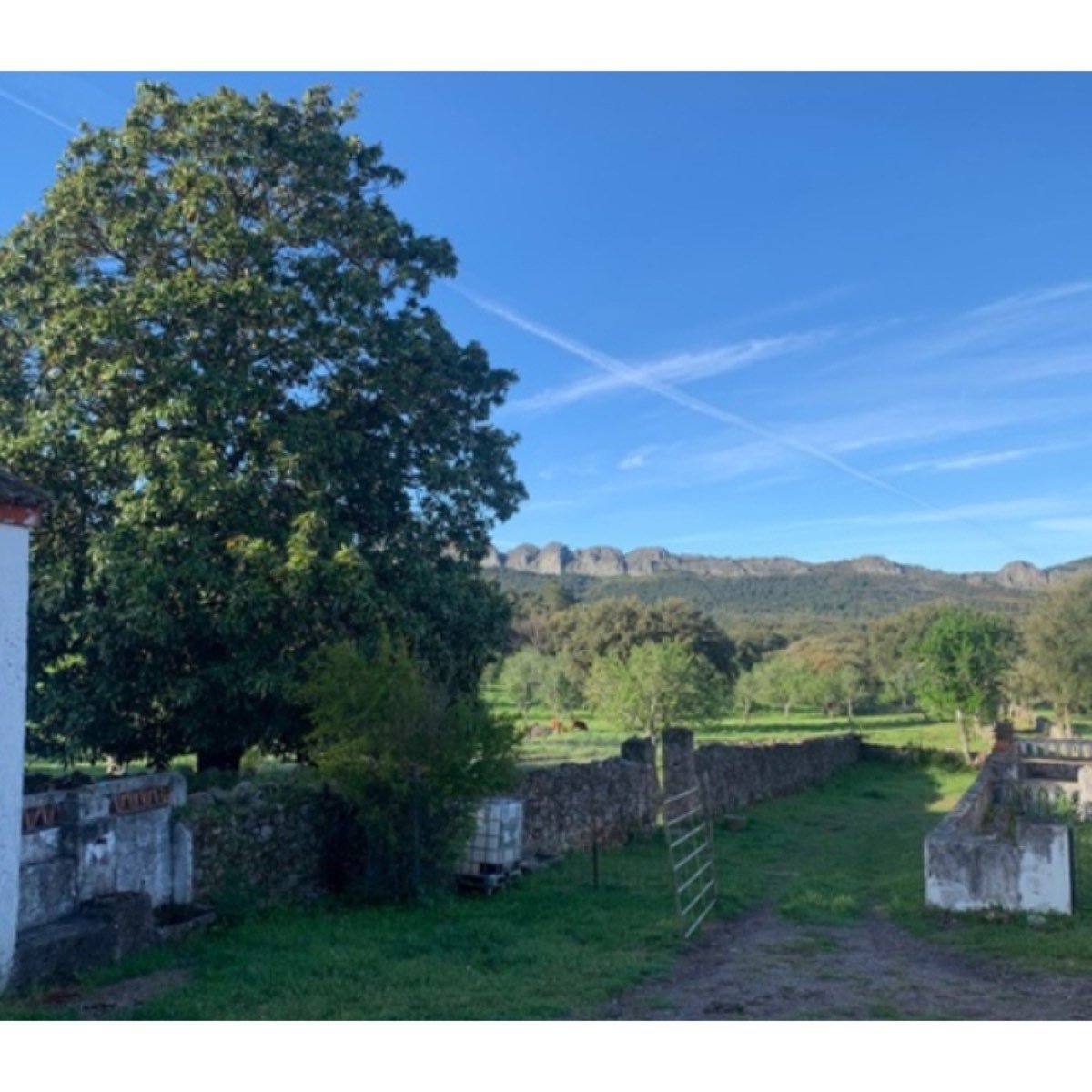 SE VENDE FINCA EXTREMADURA VALENCIA DE ALCANTARA