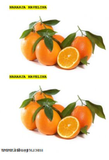 Se vende naranja c. valenciana al pormayor