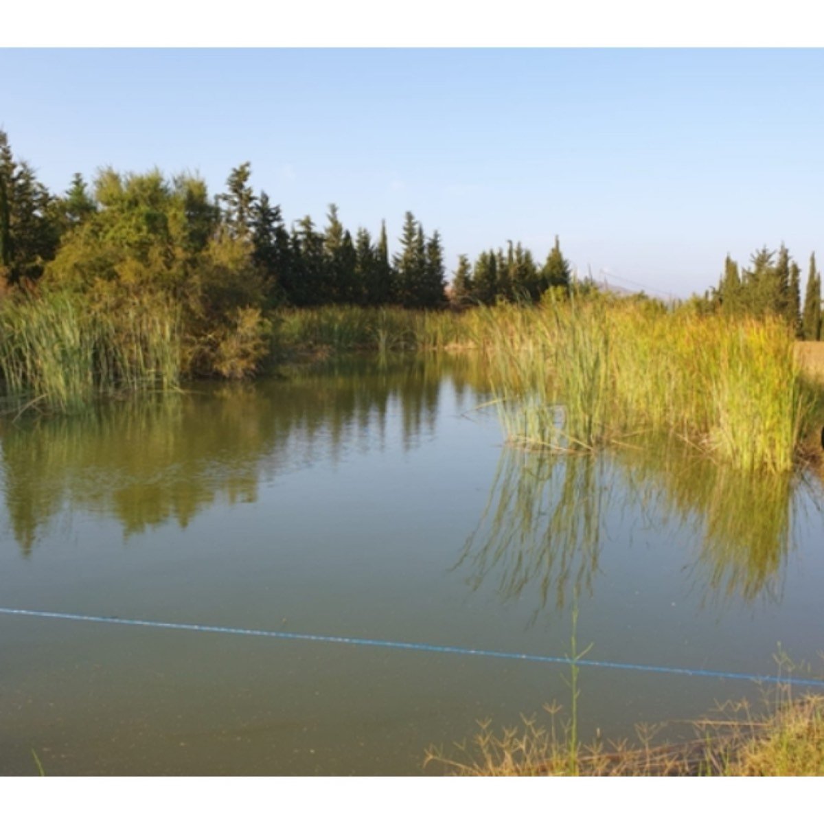 SE VENDE VENTA GRAN FINCA DE 44. 000M2