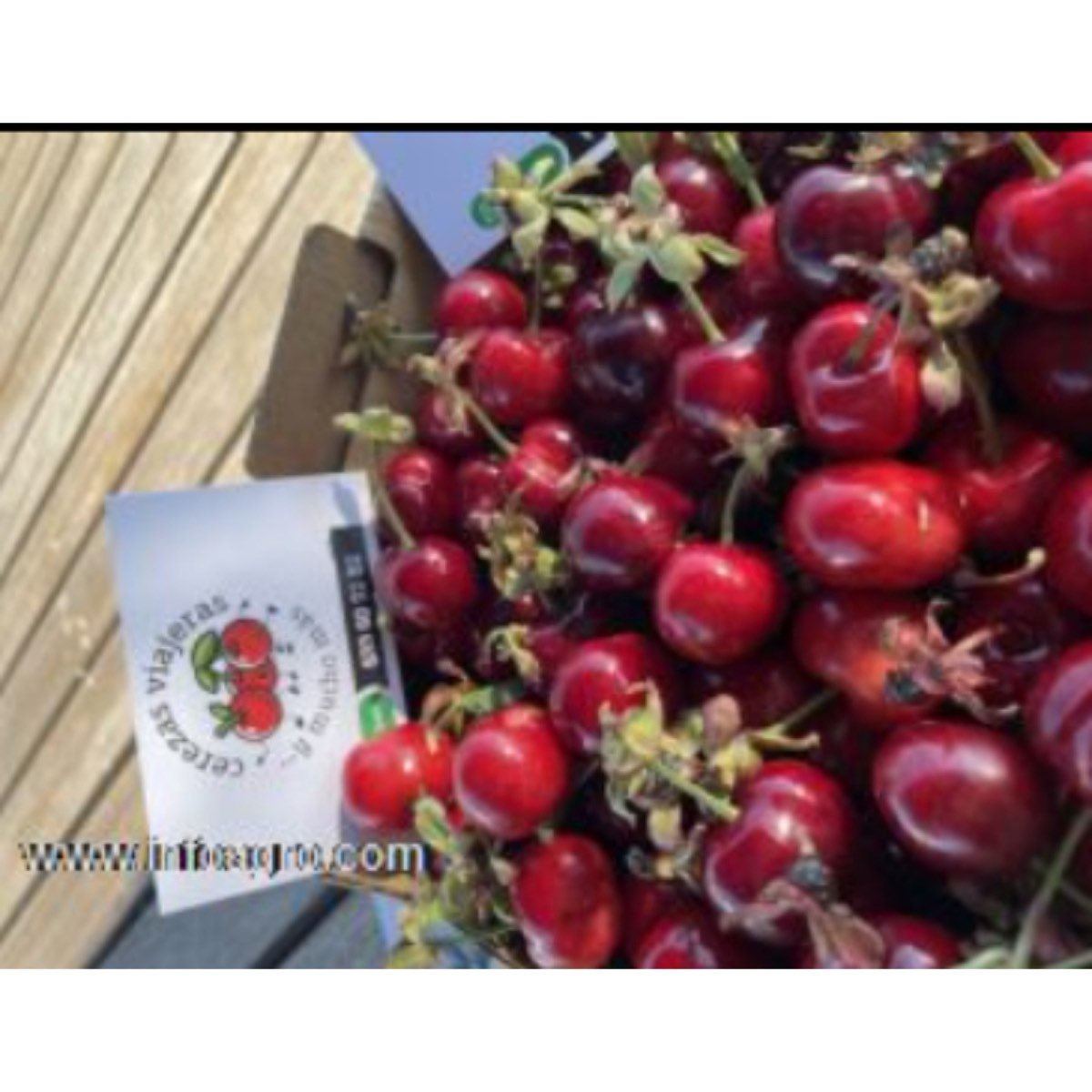 Se vende cerezas del valle del jerte