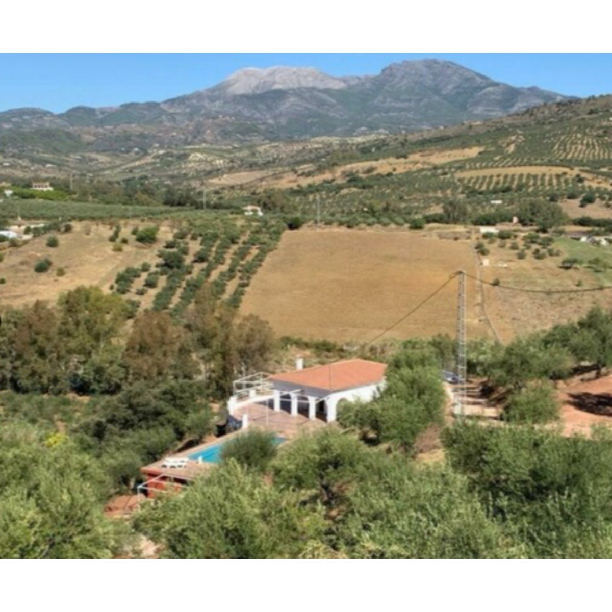SE VENDE FINCA EN GUARO