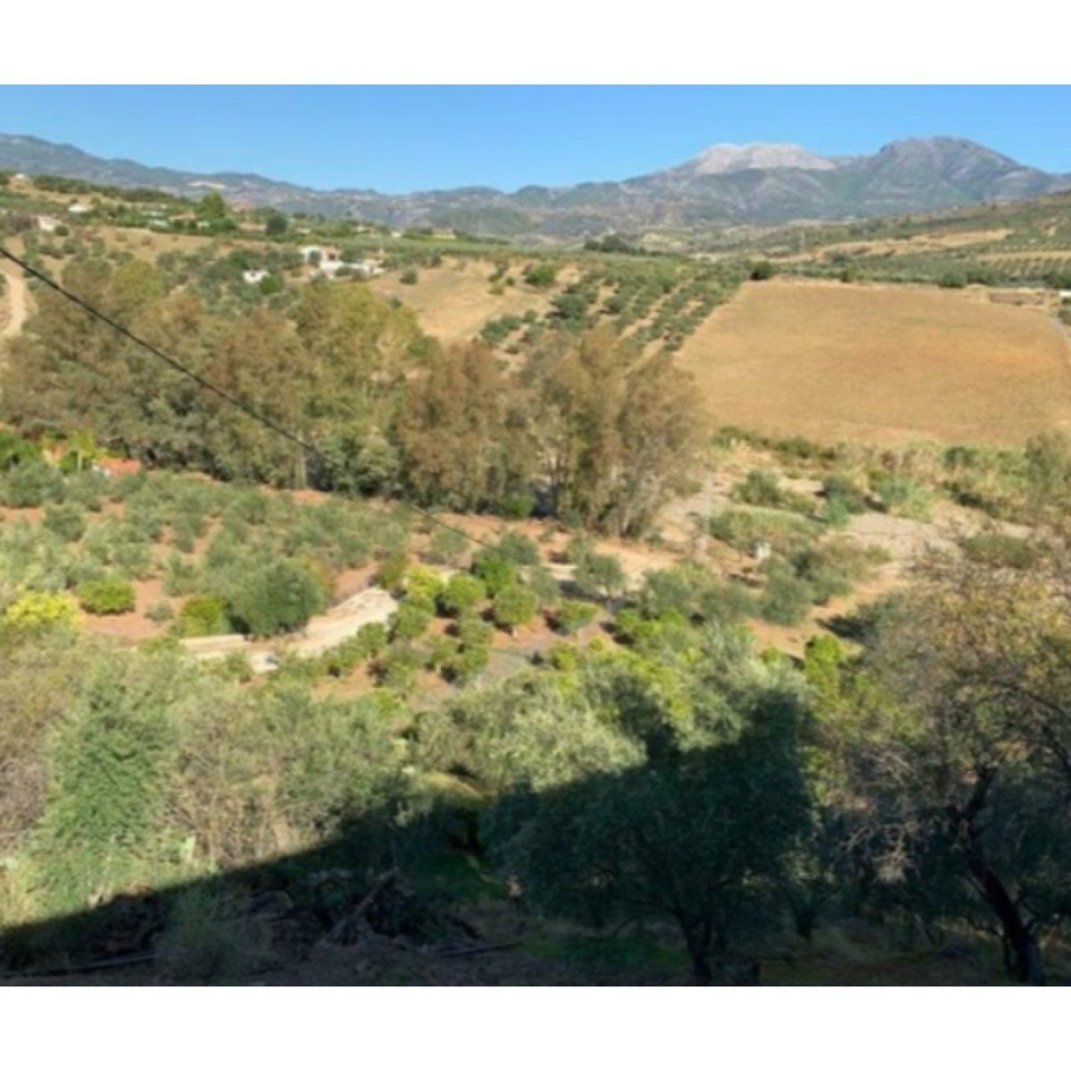 SE VENDE FINCA EN GUARO