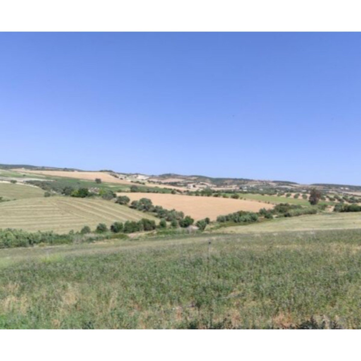 SE VENDE FINCA DE REGADIO