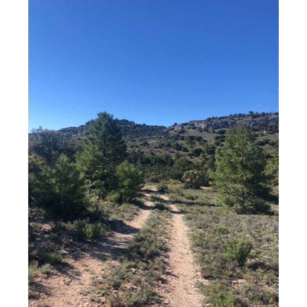 SE VENDE FINCA PEÑAS DE SAN PEDRO