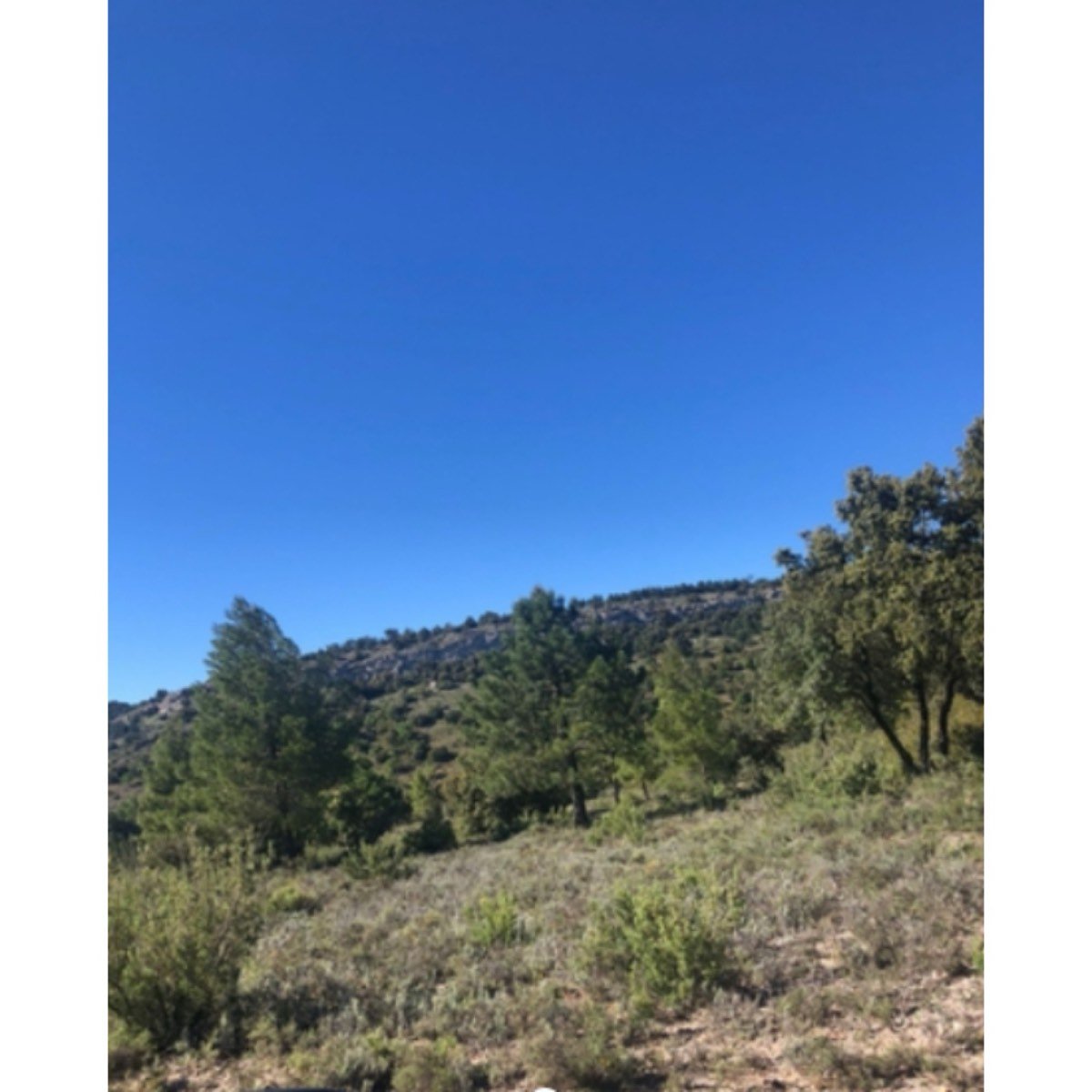 SE VENDE FINCA PEÑAS DE SAN PEDRO