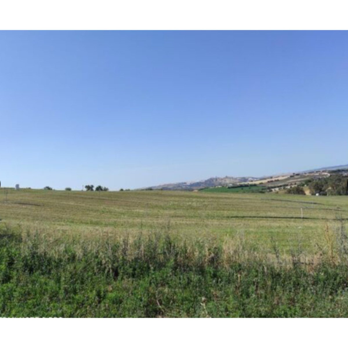 SE VENDE FINCA DE REGADIO