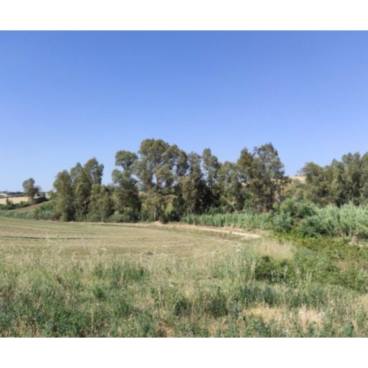 SE VENDE FINCA DE REGADIO