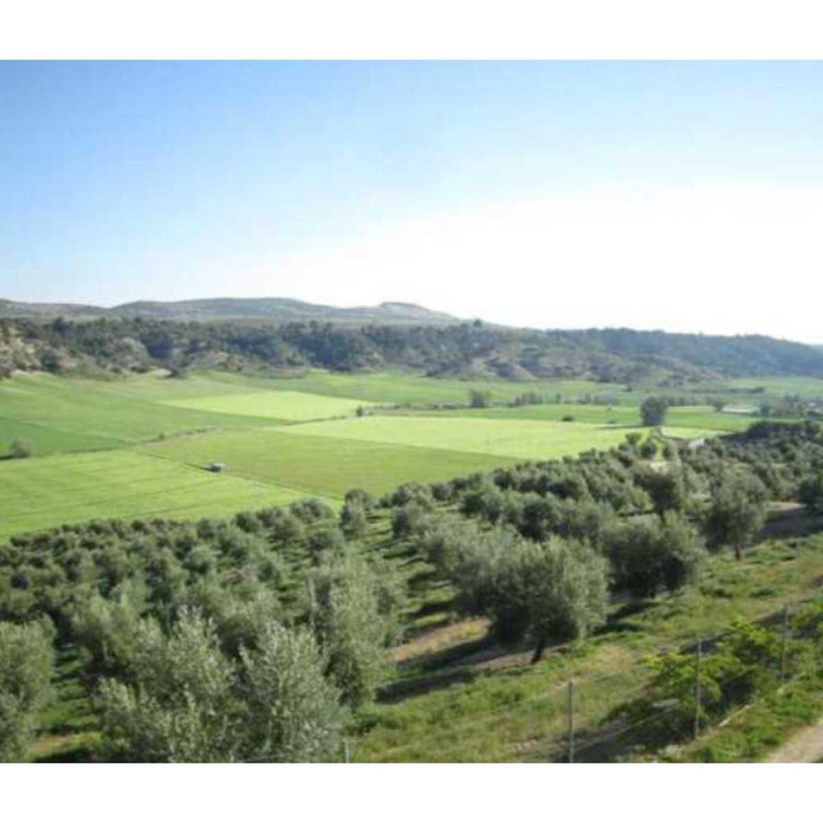 FINCA EN VENTA EN JAEN