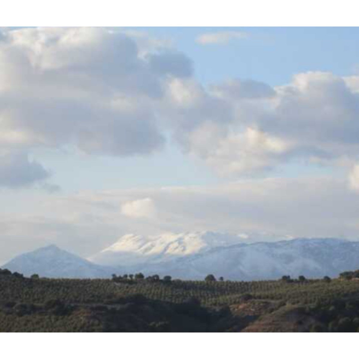 FINCA EN VENTA EN JAEN