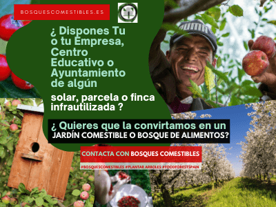 diseno-bosque-alimentos-contacto