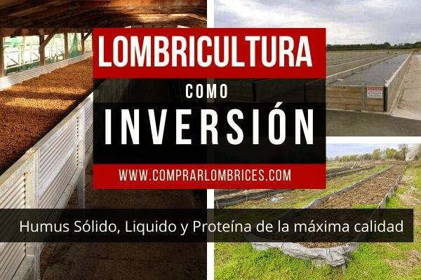 lombricultura-negocio