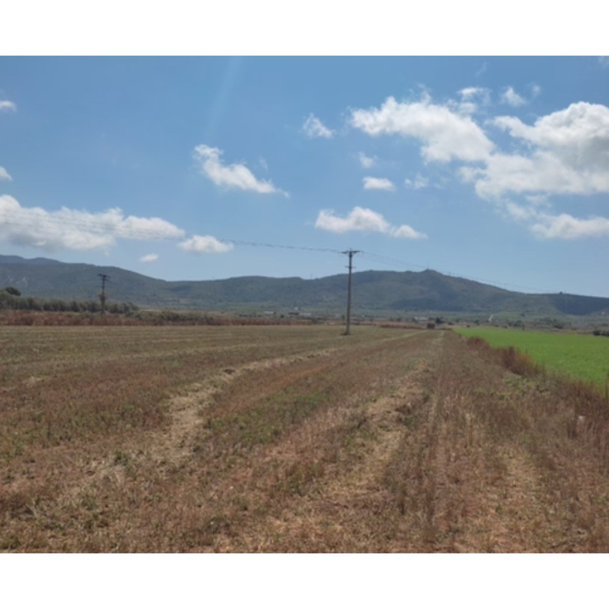 FINCA DE 21000M2 REGADIO