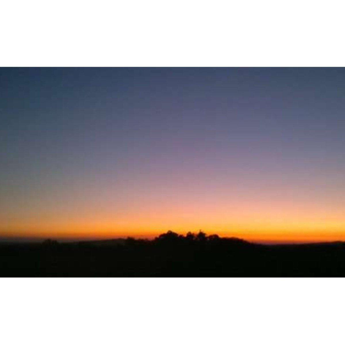 FINCA EN LA VERA