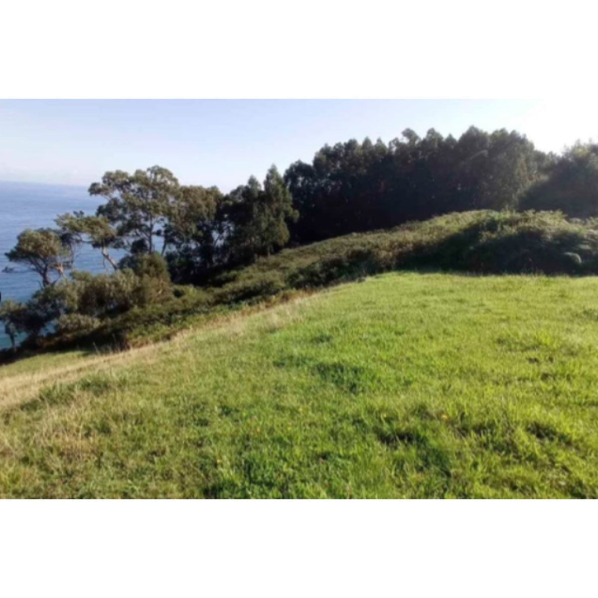 FINCA NO EDIFICABLE