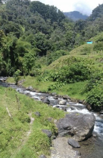 Se vende finca cafetera en risaralda colombia