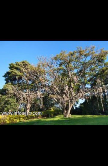 Se vende espectacular finca