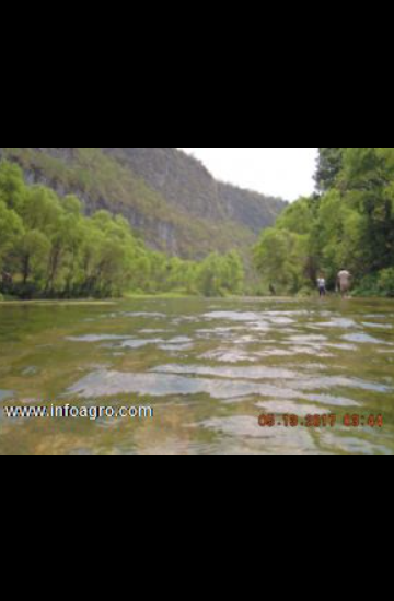 Se vende magnifico rancho ganadero de 1500-4000ha