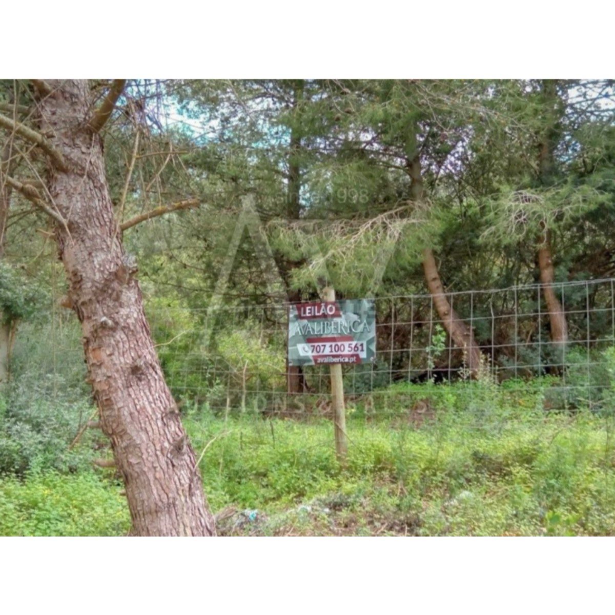 Terreno en venta en Azambuja