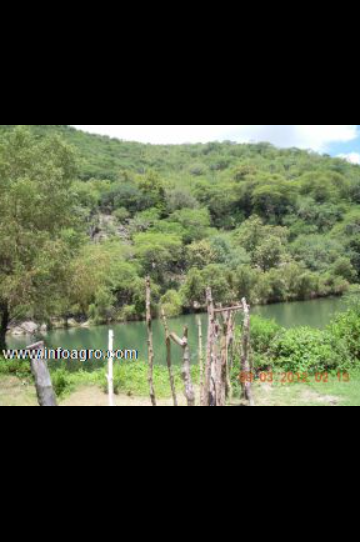 Se vende magnifico rancho ganadero de 1500-4000ha
