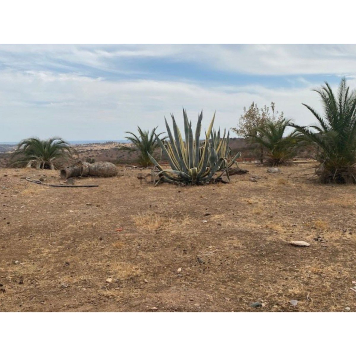 Terreno en venta en estrada nacional 255