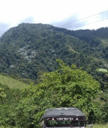 Se vende finca cafetera en risaralda colombia