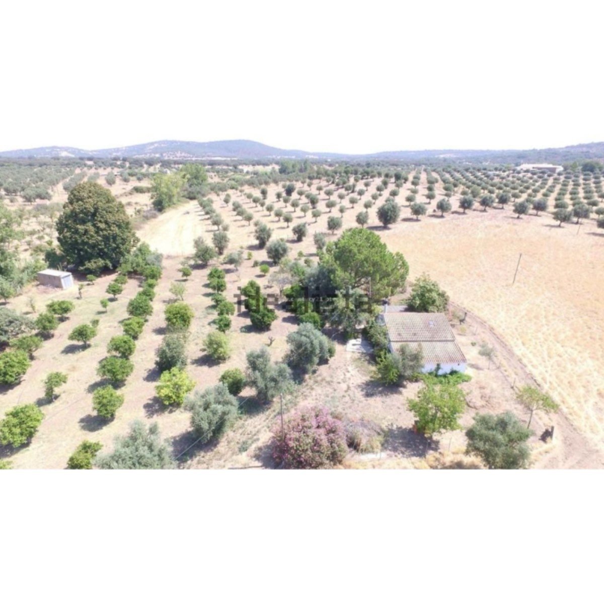 Terreno en venta , estrada