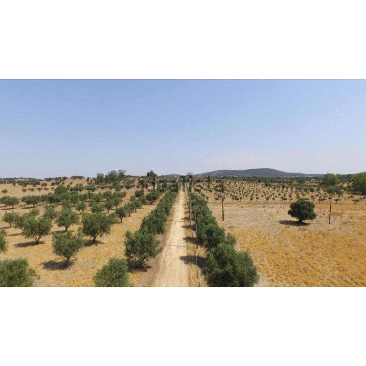 Terreno en venta , estrada
