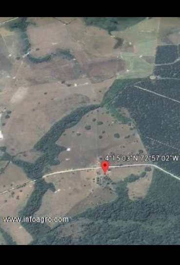 Se vende 102 ha de tierra agrícola en cabuyaro