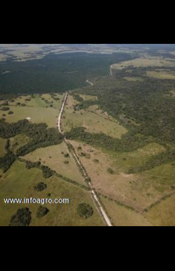 Se vende 102 ha de tierra agrícola en cabuyaro