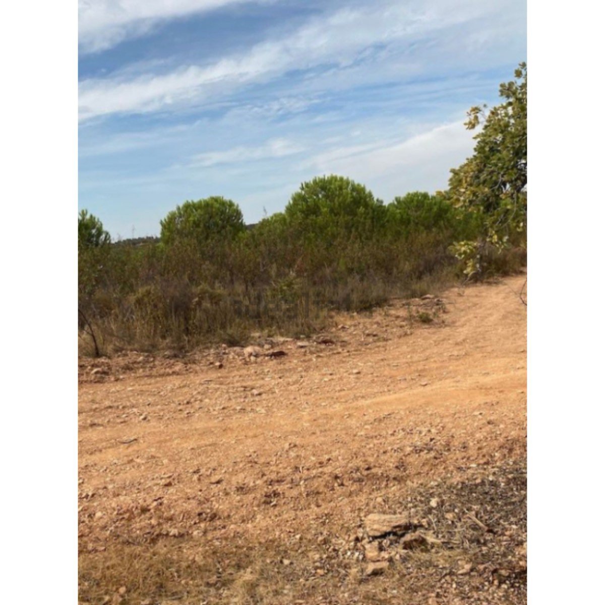 Terreno en venta en estrada nacional 255