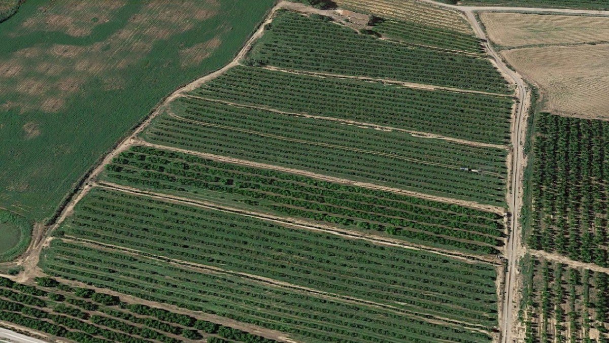 En venta 6,42 Ha de frutales en Lleida
