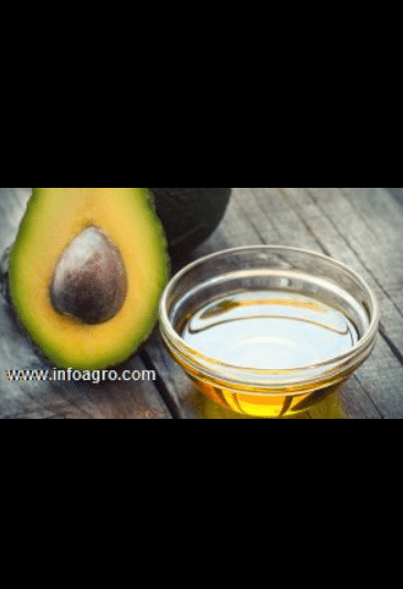 Se vende aceite de aguacate puro 100%