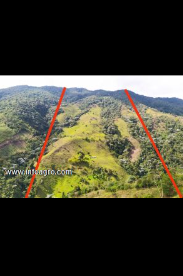 Se vende finca en venta, 364 hectáreas