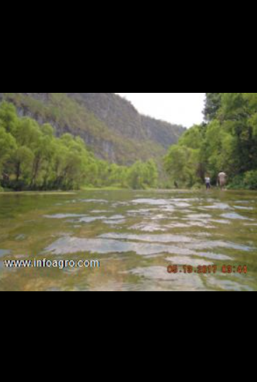 Se vende magnifico rancho ganadero de 1500 4000ha