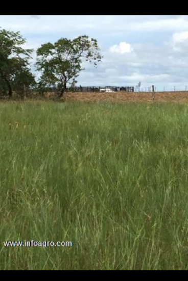 Se vende 5469 ha de tierra agrícola puerto gaita