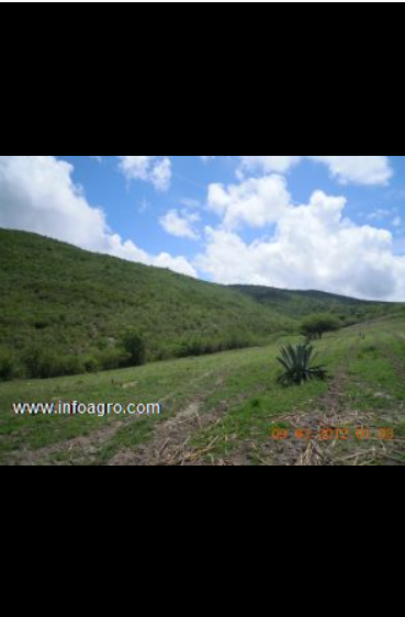 Se vende magnifico rancho ganadero de 1500 4000ha