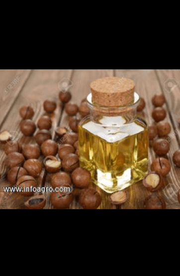 Se vende aceite de nuez de macadamia