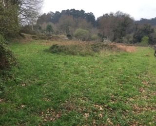 FINCA EN VENTA EN VILLASOBROSO