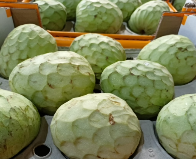 FRUTAS Y VERDURAS FRESCAS EN SAN PEDRO
